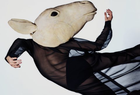 231007 OBV Petrouchka Campaign 0560 hr xtrablack