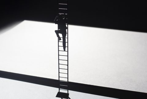 2526 DON campagnebeeld digitaal c Lot Doms IMG 1032 OBV