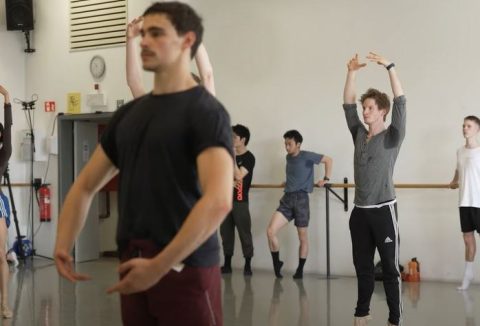 Video een dag bij de dansers