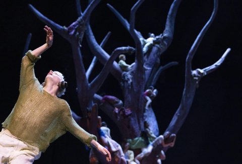 Ombra kostuumrepetitiebeeld