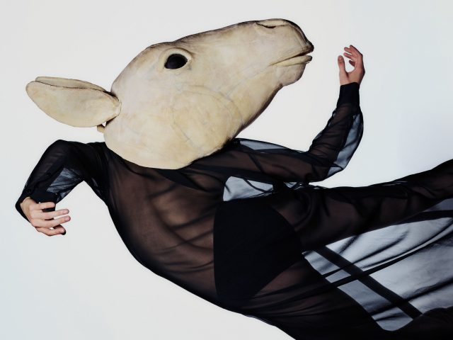 231007 OBV Petrouchka Campaign 0560 hr xtrablack