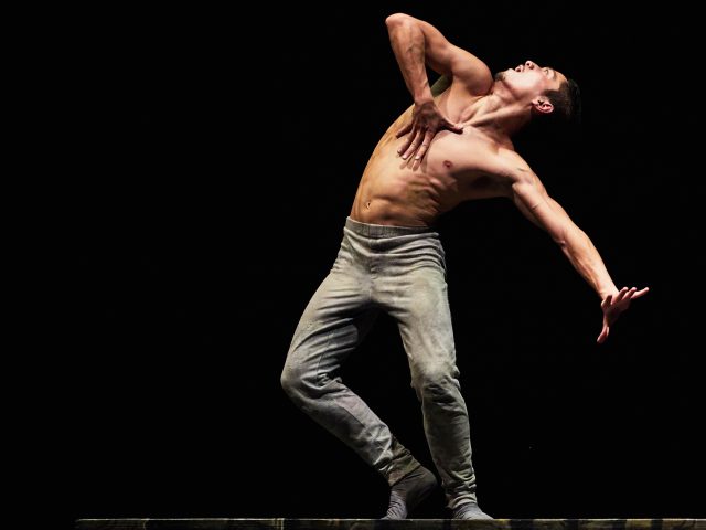 BEELD CREATURE 22 23 HP PLP PDP 2048 X1434